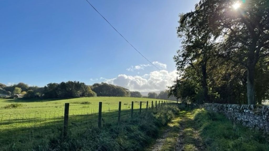 A countryside scene with fields and trees on a sunny day